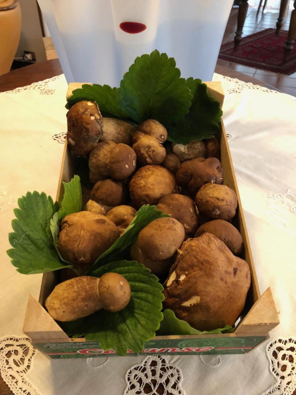 Cortemilia Villa San Carlo מראה חיצוני תמונה
